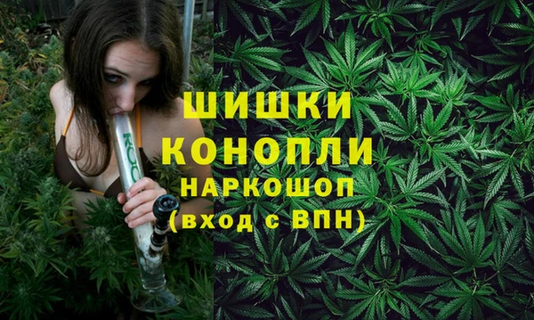 ГАЛЛЮЦИНОГЕННЫЕ ГРИБЫ Киренск